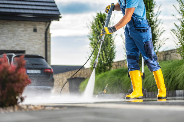 Best Pressure Washing Driveway  in Keokea, HI